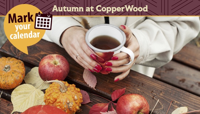 Autumn at Copperwood
